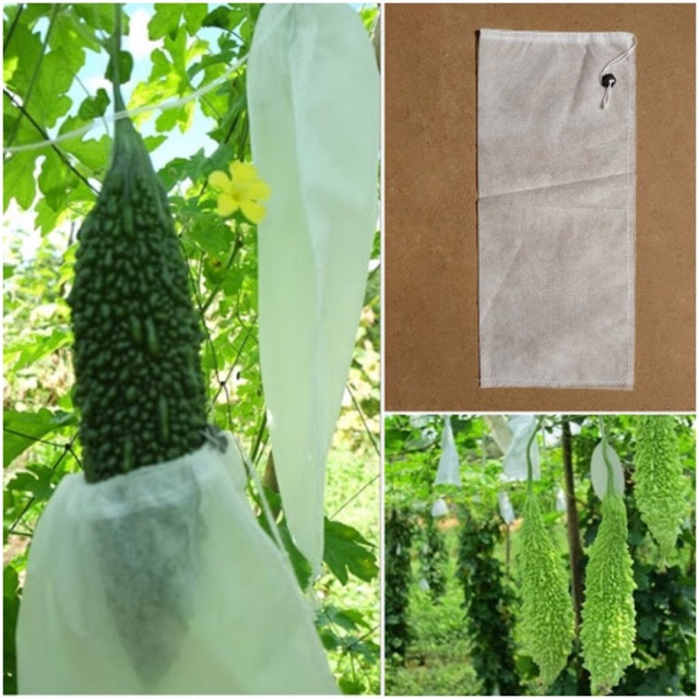 100 Túi Bọc Mướp, Bầu, Bí, Dưa Leo Size 15x50 Hàng Đẹp