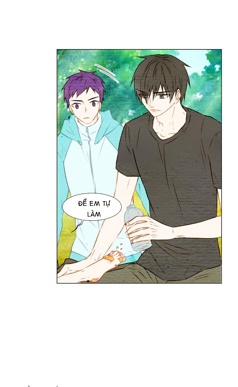 sao chép chapter 14 19