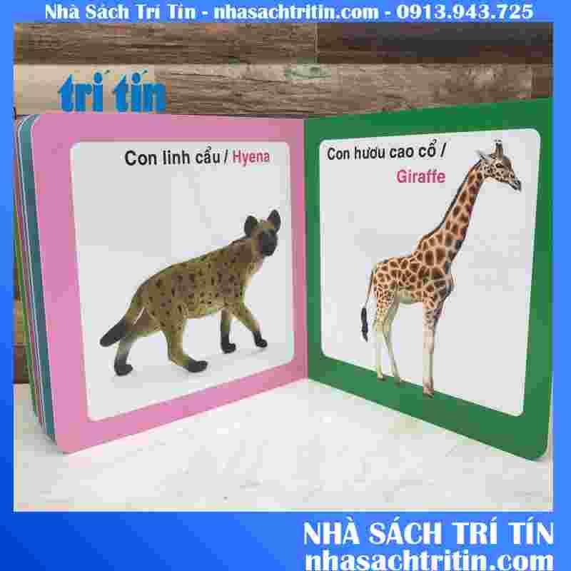 TRanh ĐỘNG VẬT HOANG DÃ