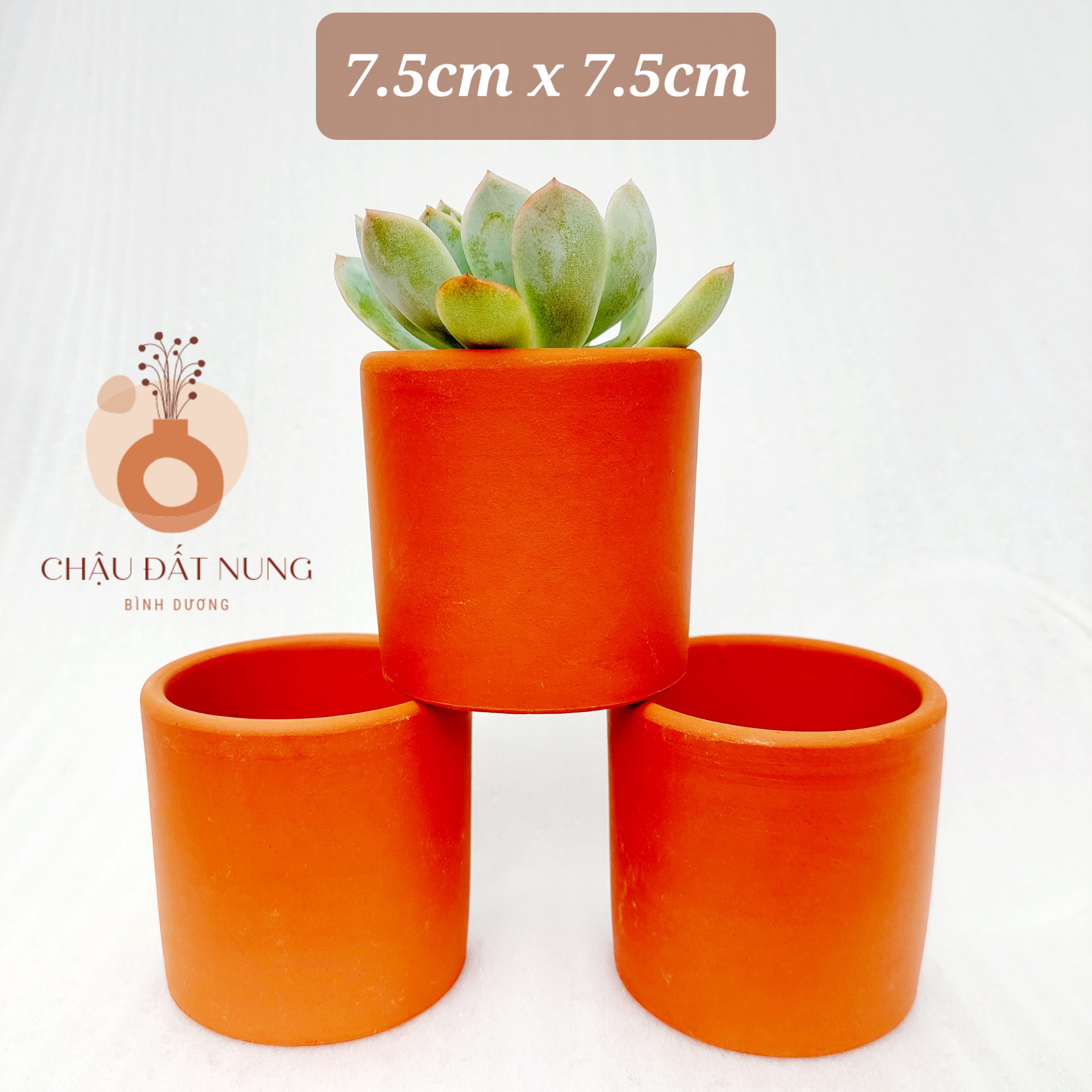 Chậu đất nung Bình Dương - Trụ 75, miệng chậu 7.5cm, chiều cao 7.5cm
