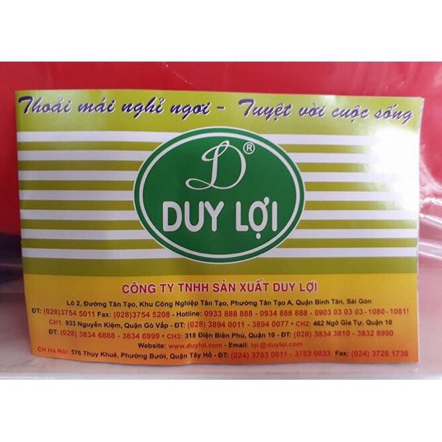 Lưới võng Duy Lợi 18 lỗ đẹp