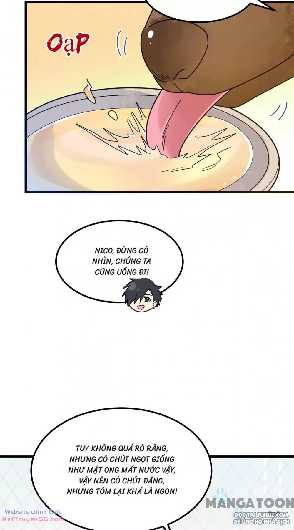 Tôi Sống Trên Hoang Đảo Cùng Các Em Gái chapter 241 15