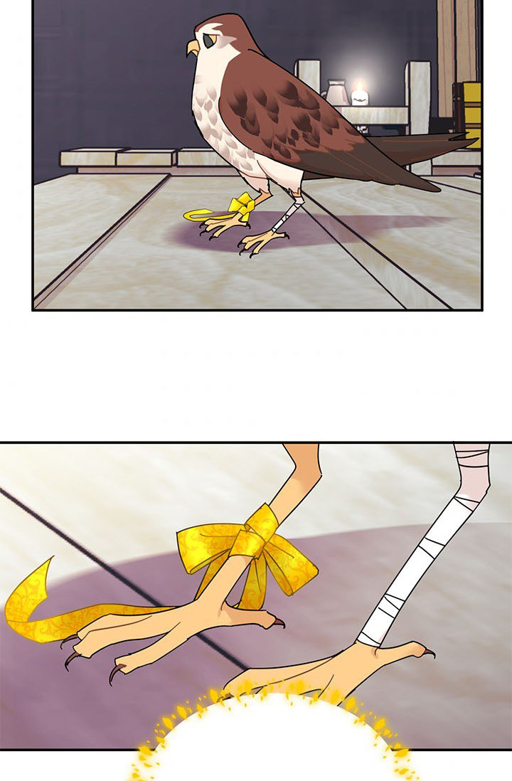 công chúa của loài chim chapter 22 53