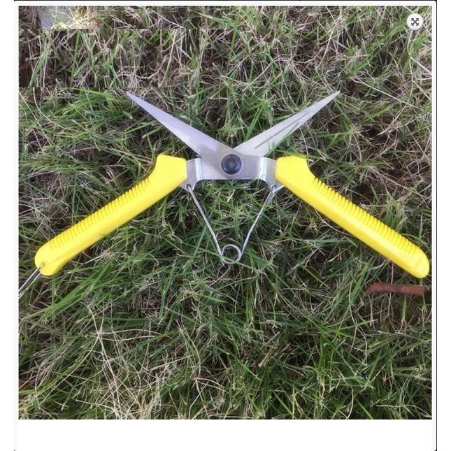 Kéo tỉa cành trái tỉa chi dăm 195cm màu vàng K109