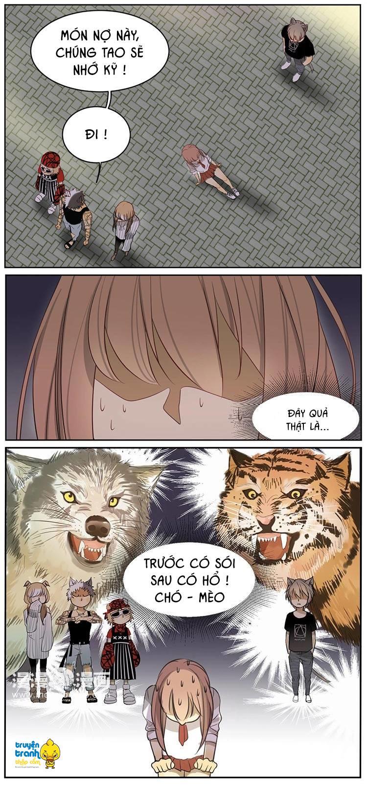 cứu mạng ! loài mèo thống trị thế giới rồi ! chapter 6 13