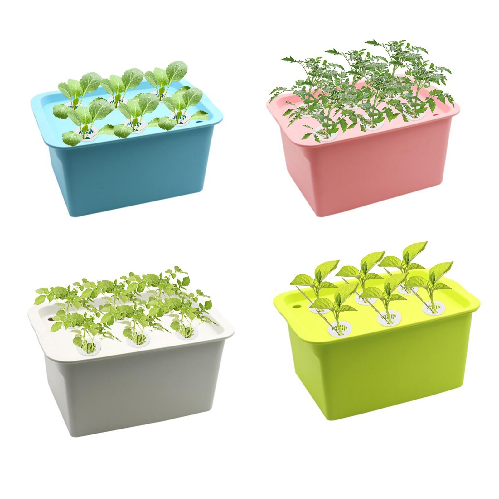 Hệ Thống Trồng Thủy Canh Trong Nhà