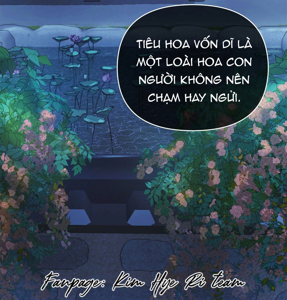 đăng tiêu hoa chapter 1 15