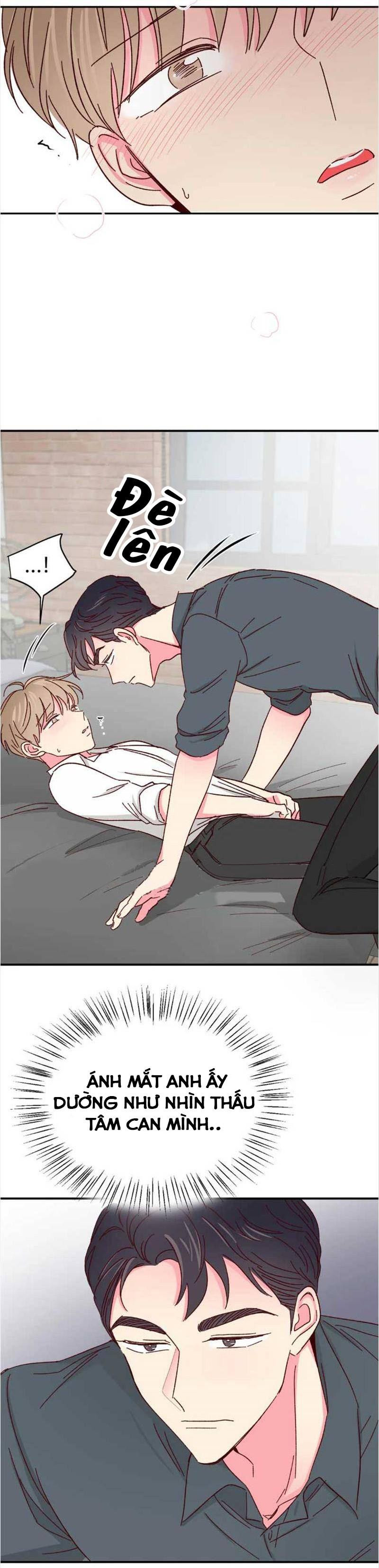 món tráng miệng của sếp tổng chapter 41 6