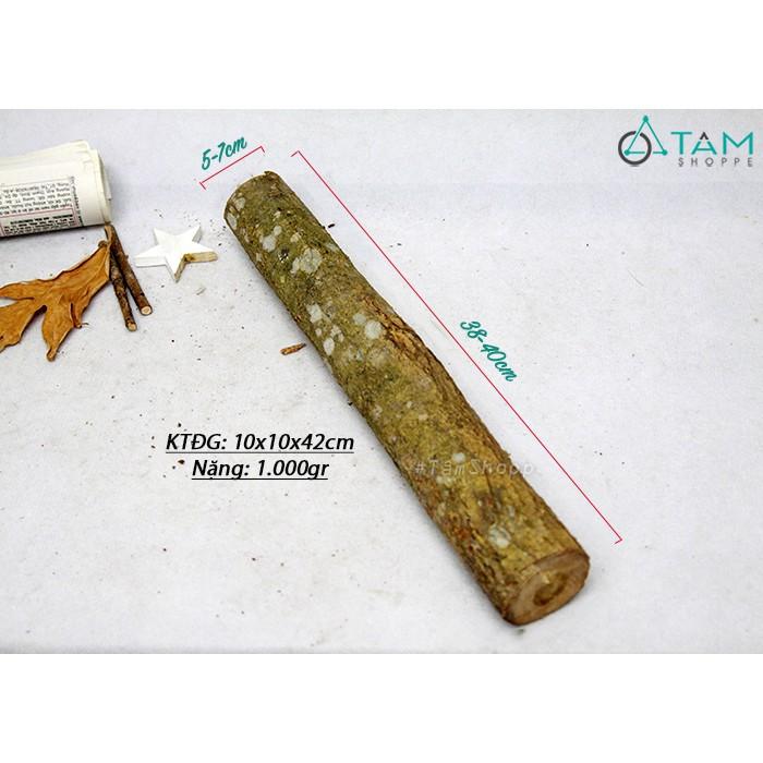 COMBO 2 Khúc củi khô trang trí ĐK 5-7cm dài 40cm ngẫu nhiên W-CUI-06