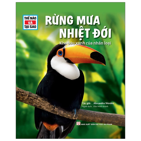 Combo sách Trọn bộ thế nào và tại sao - minhhabooks