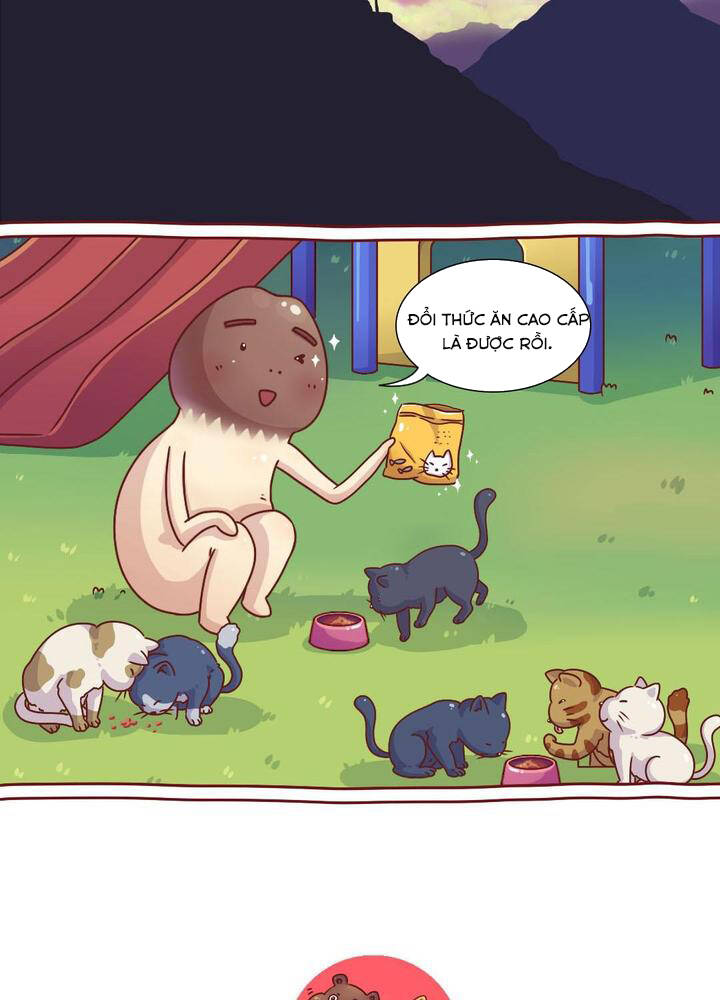 cây nấm kì khả chapter 16 13