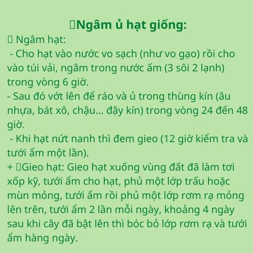 10gHạt giống hành hương cao sản,hành hoa,hành lá, hành ta-giống rau củ quả dùng làm vườn Nông Nghiệp 1 biogree