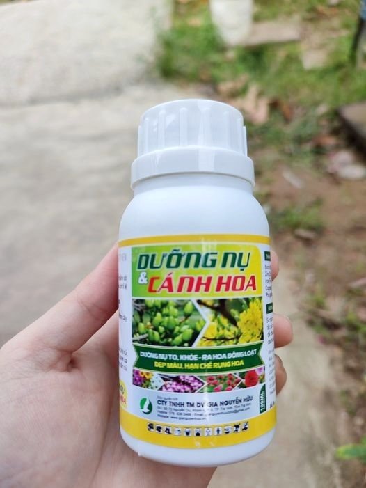 DƯỠNG NỤ CÁNH HOA - 250ML