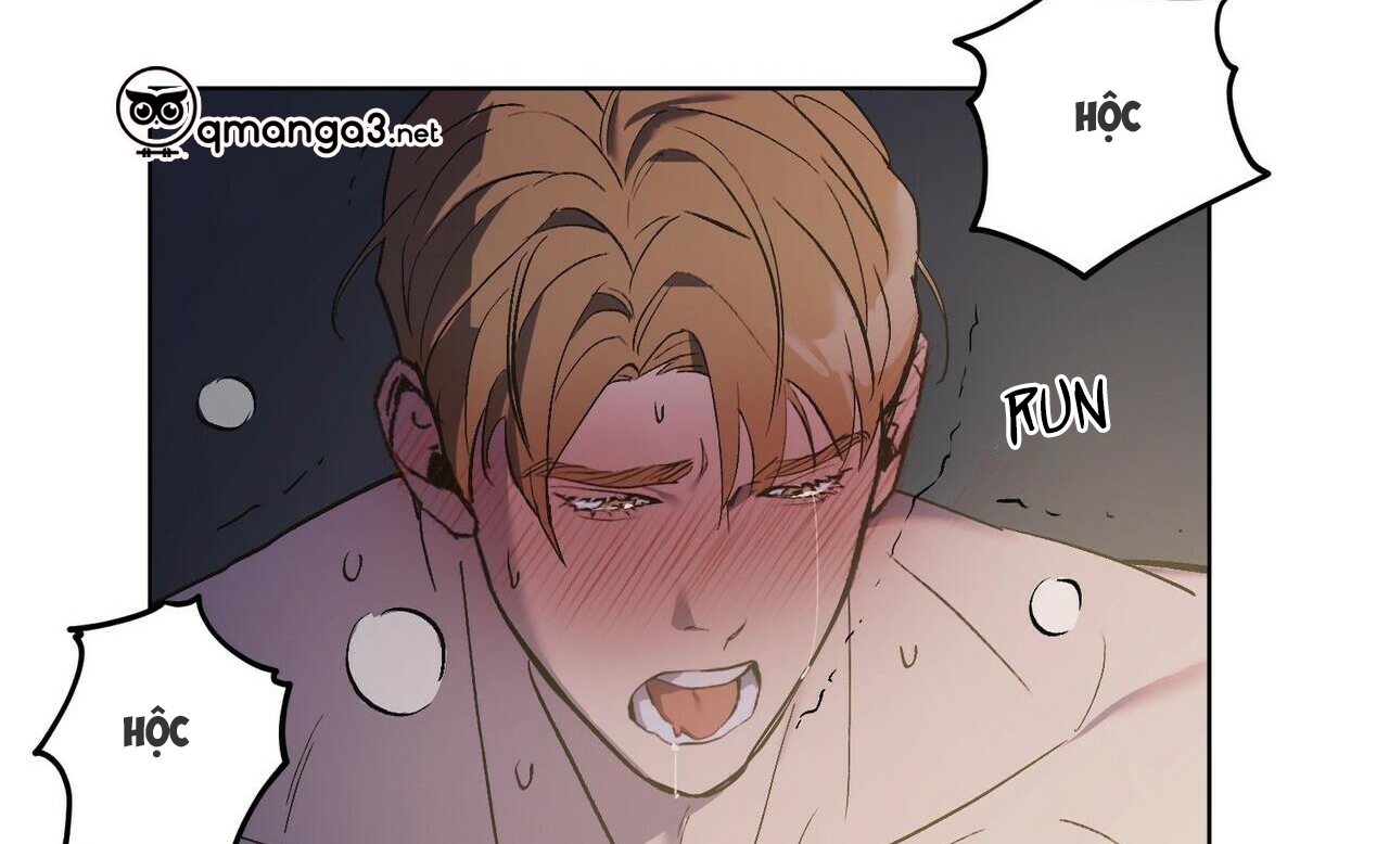 chàng dâu nhà họ kang chapter 23 79