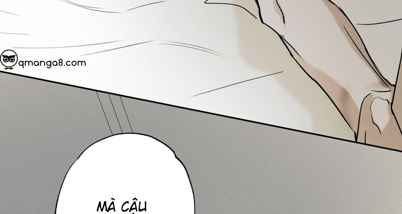 chàng giao pizza và gold palace chapter 47 202