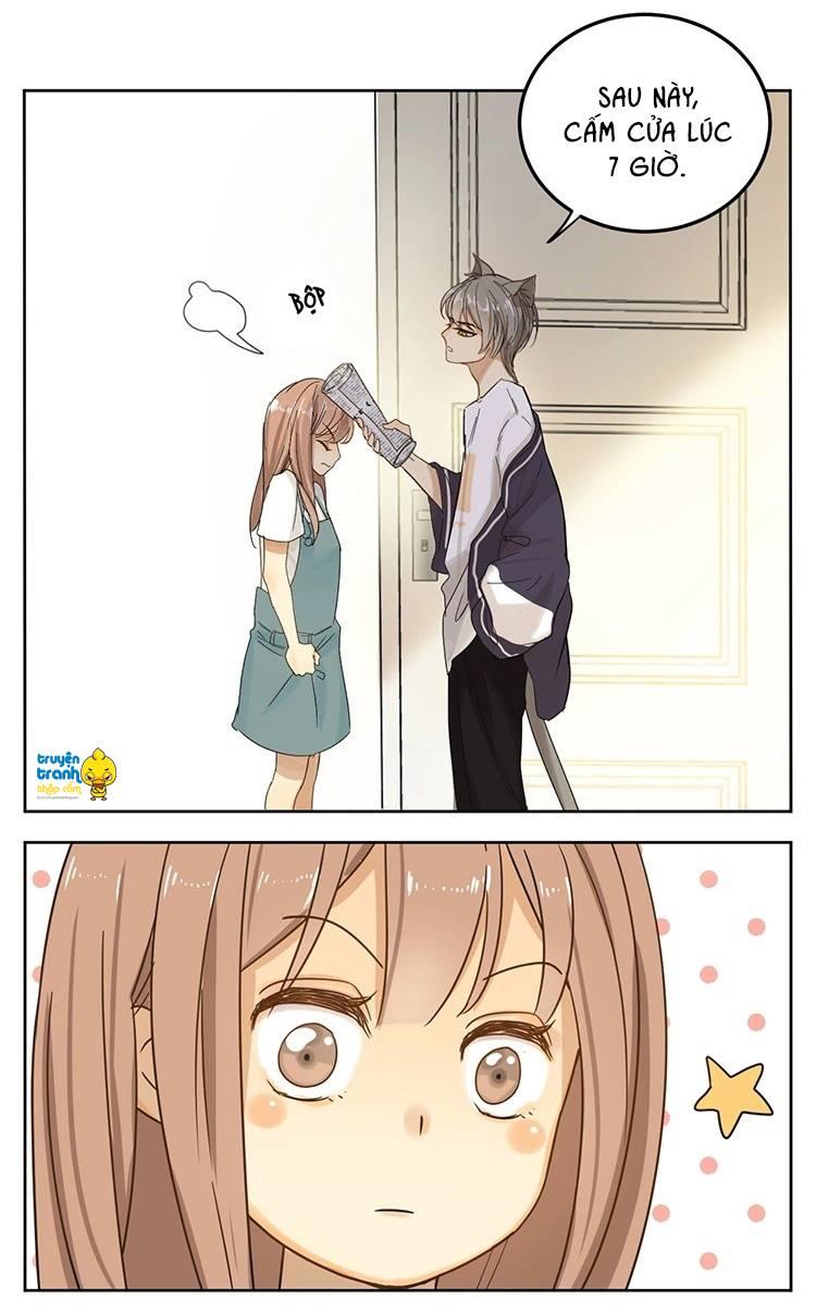 cứu mạng ! loài mèo thống trị thế giới rồi ! chapter 12 17