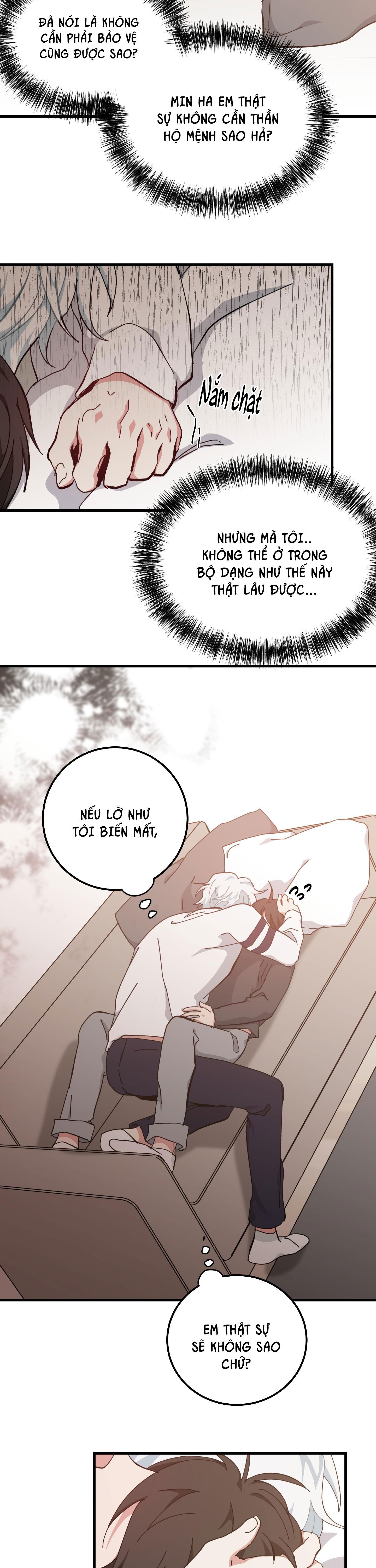 yêu tôi đi, thần hộ mệnh chapter 40 19