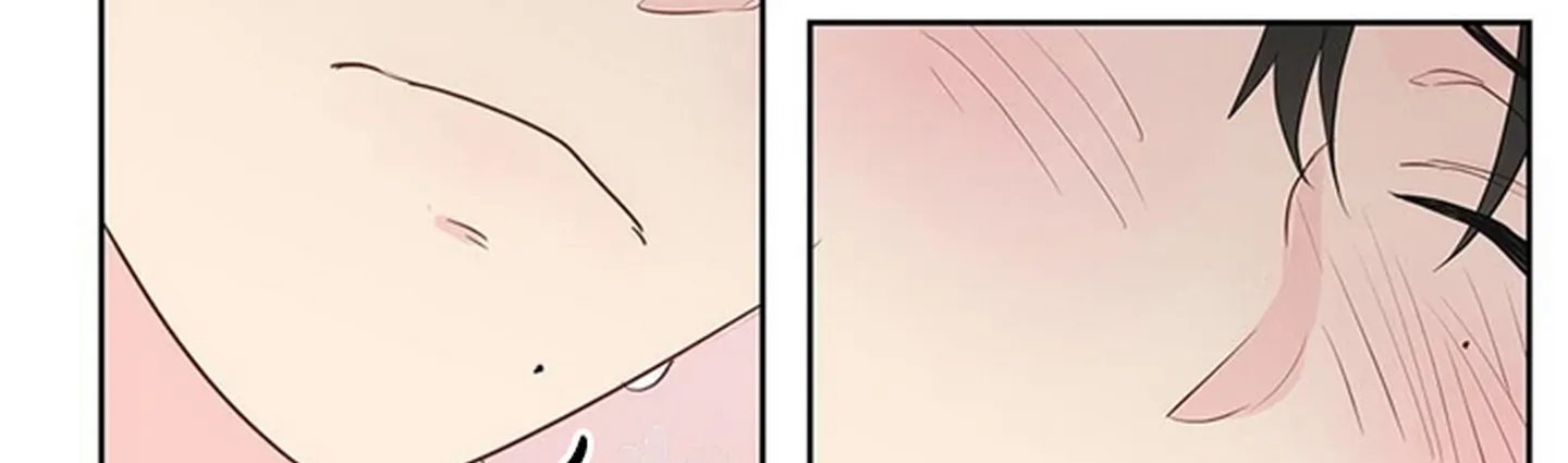 chuyện quái gì với giấc mơ đó vậy chapter 16 444