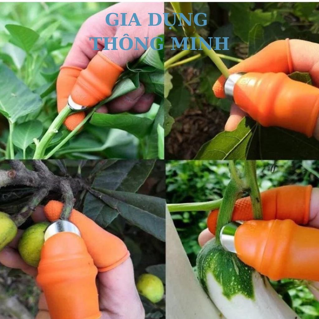 Bộ dụng cụ bấm nhặt rau củ quả tiện tích