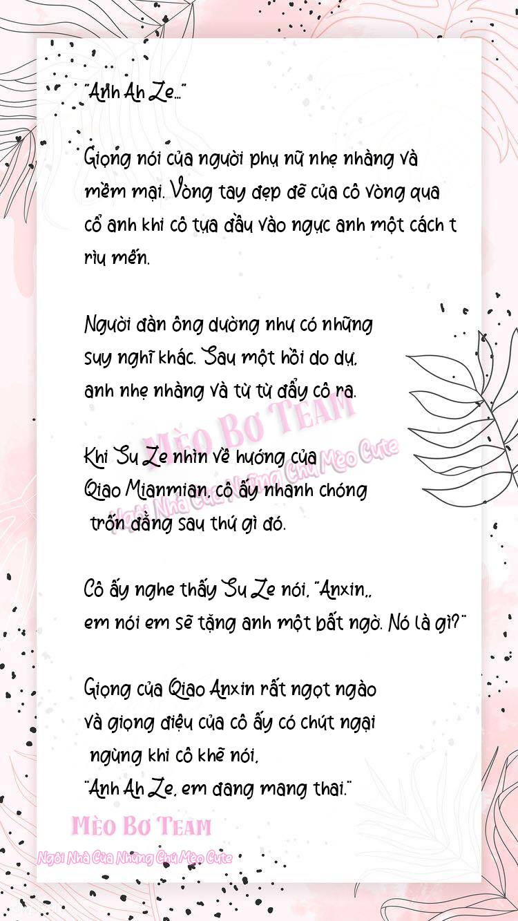 tôi bí mật kết hôn với một big shot chapter 1 4