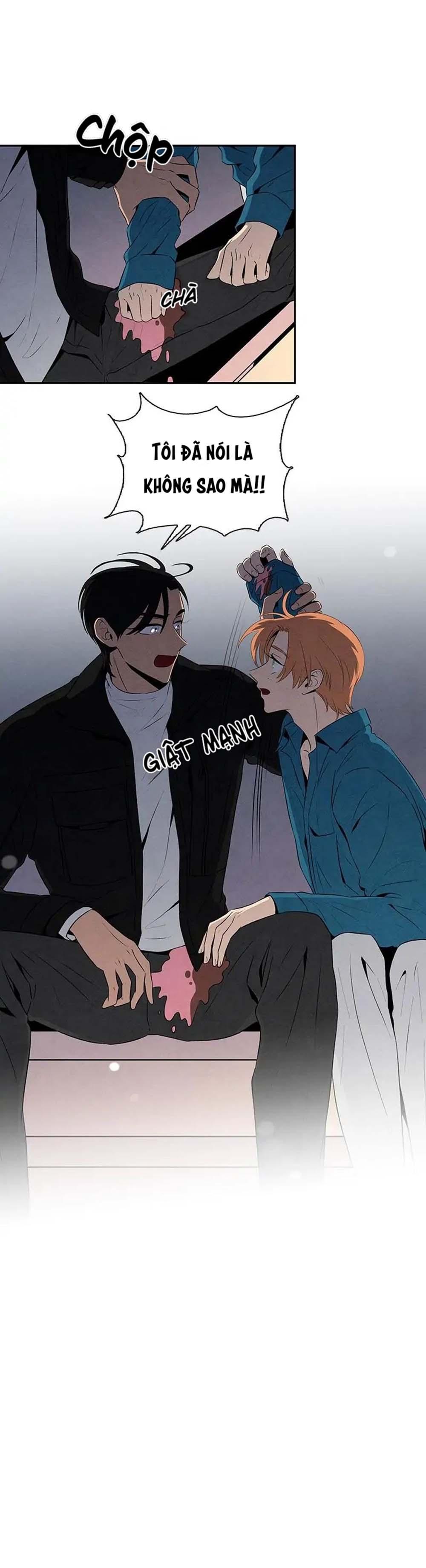 bona sort chapter 15 21