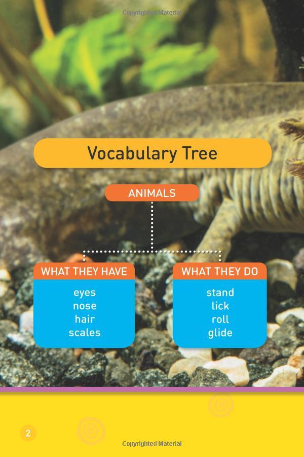 Odd Animals