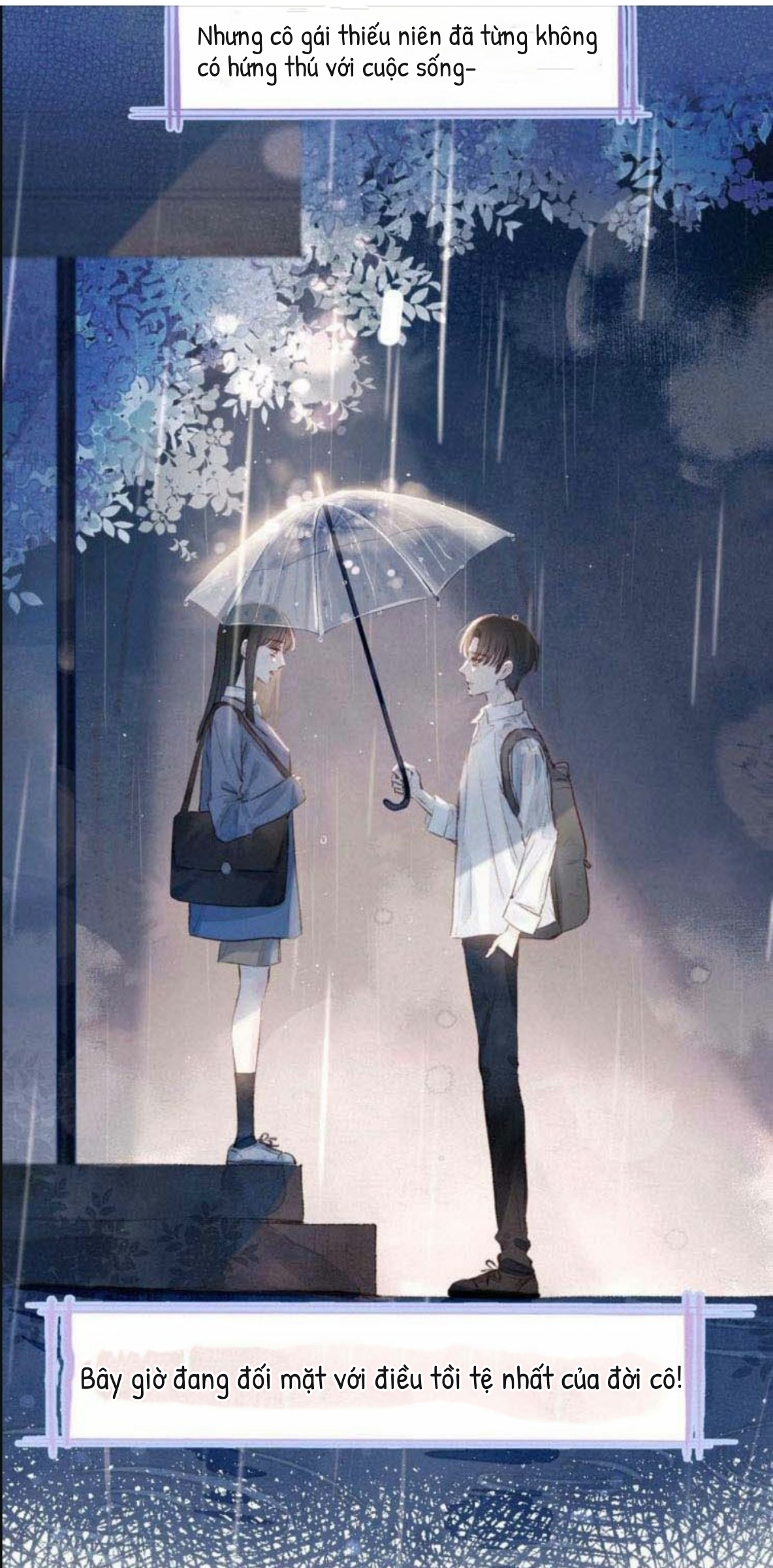 nỗi buồn của hoa cẩm tú cầu chapter 16 5