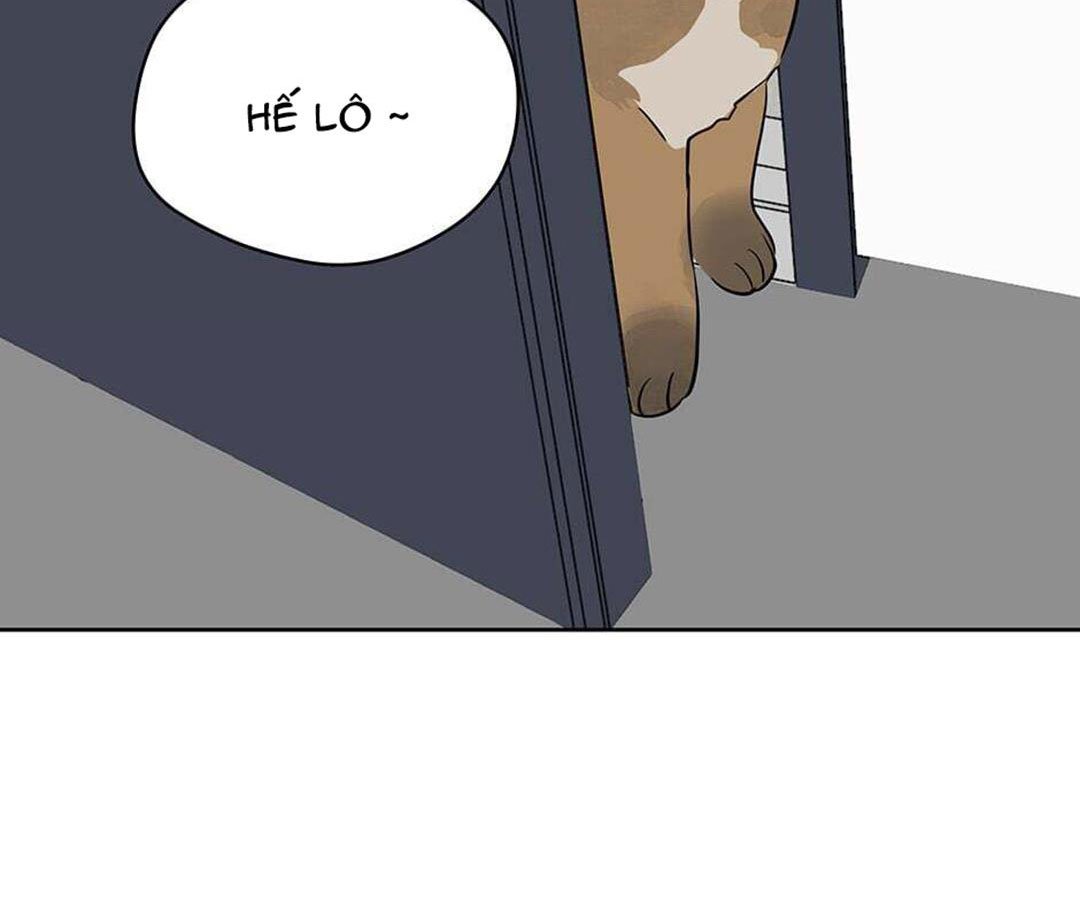 chuyện quái gì với giấc mơ đó vậy chapter 41 50