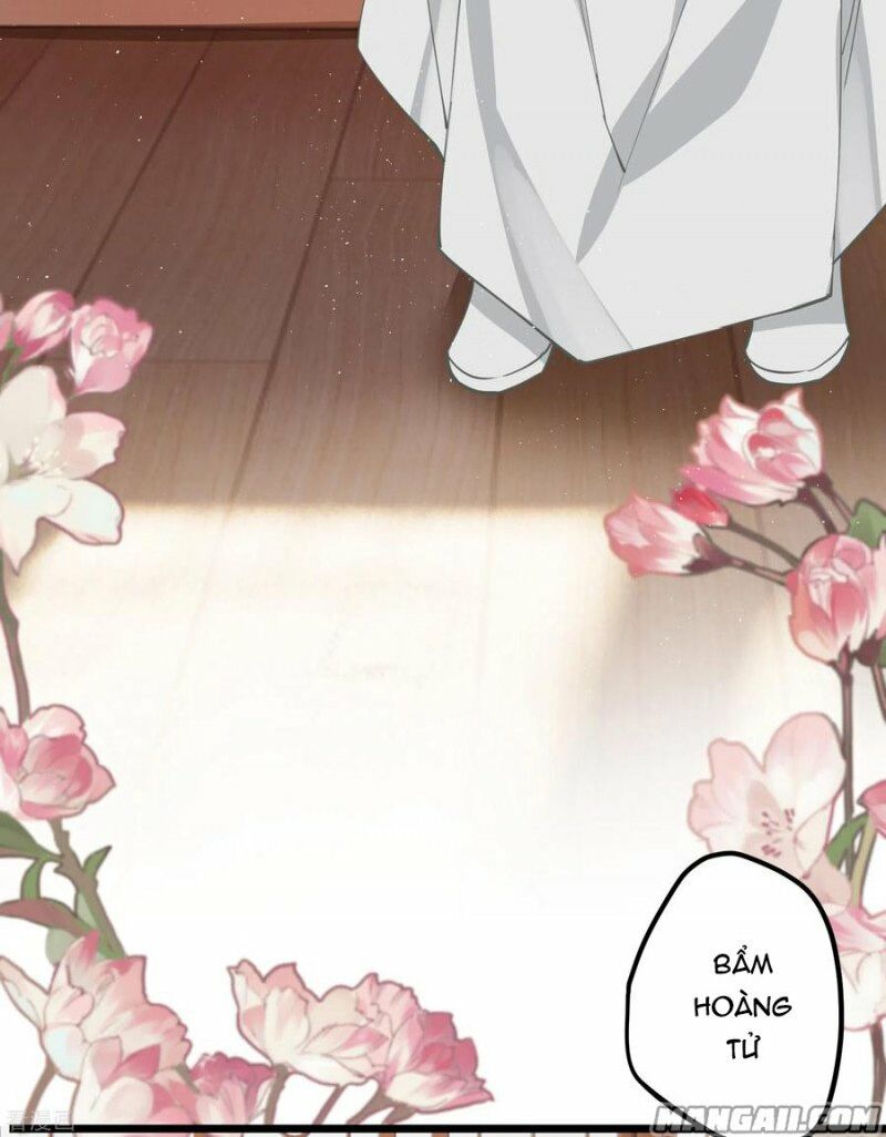 phế vật công chúa muốn nhặt chồng chapter 61 14