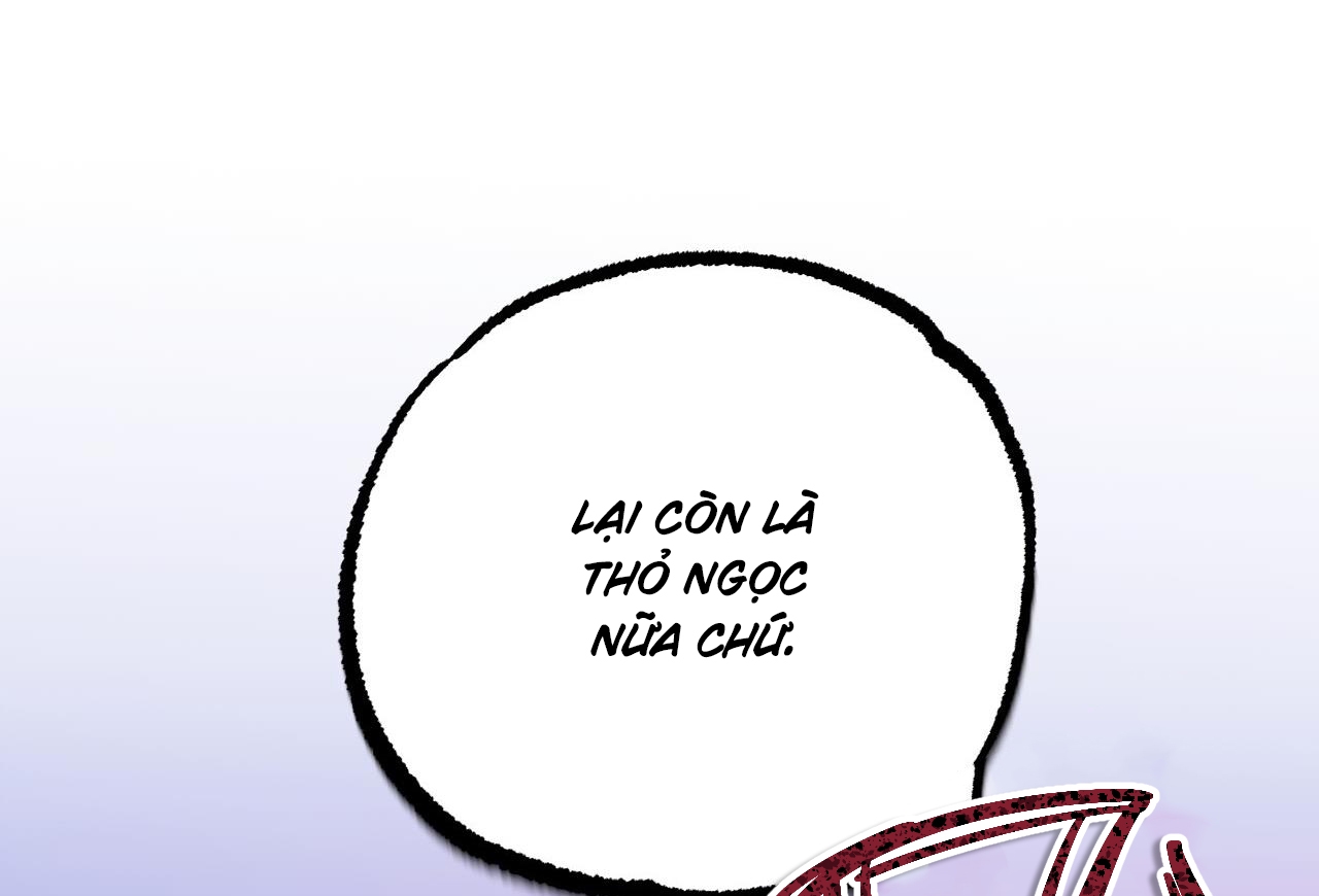 NHỮNG CHÚ THỎ CỦA HAPYPY chapter 59