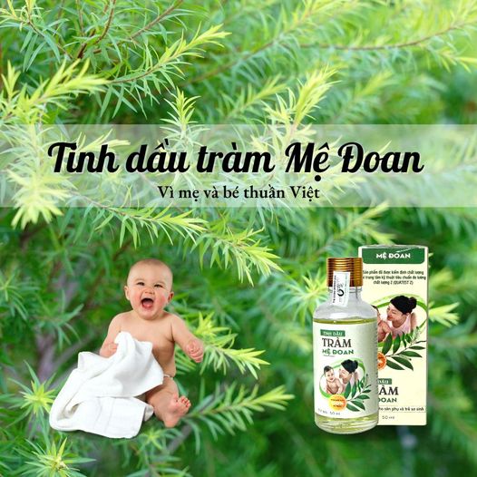 Tinh Dầu Tràm Mệ Đoan Cao Cấp Kháng Khuẩn cho Bé Sơ Sinh Sát Khuẩn Phòng Ho Côn Trùng Cắn Muỗi Đốt