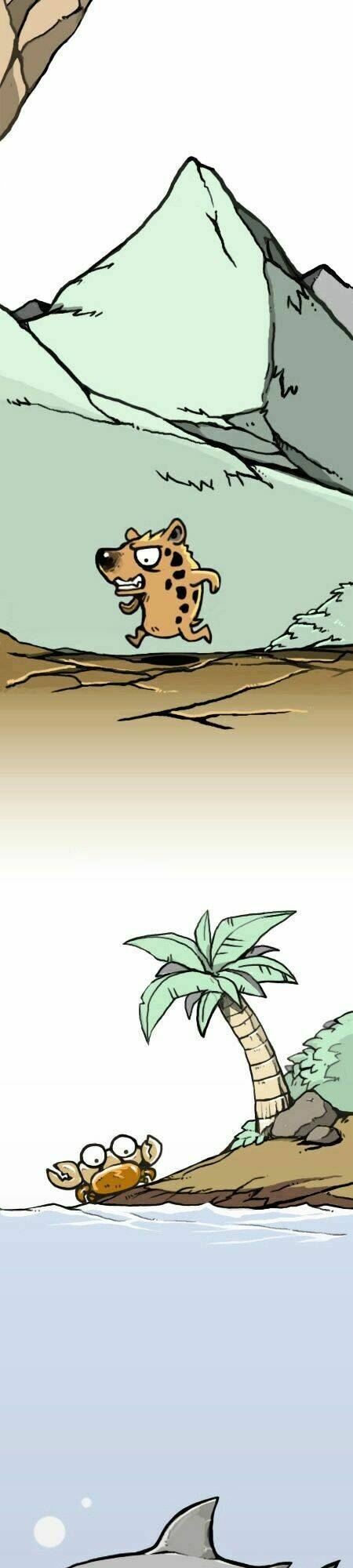 earth, human, and animal chapter 13 3