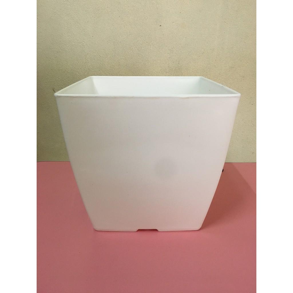 Chậu nhựa vuông size 20cm