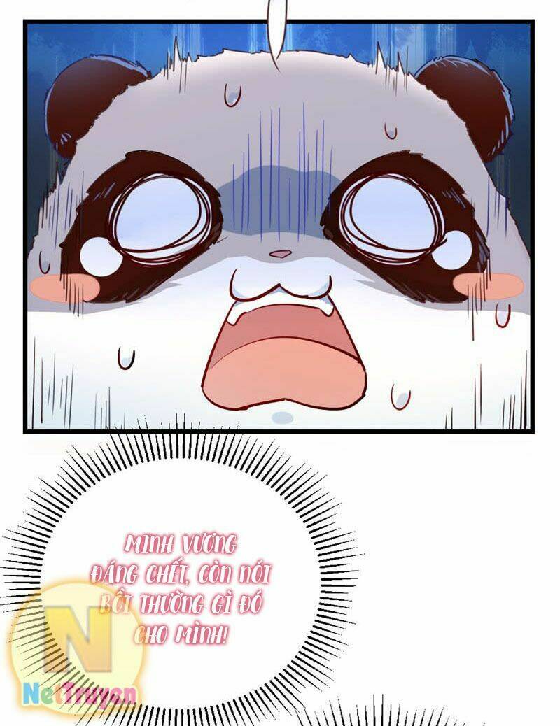 thiên thần gấu trúc muốn được ôm chapter 4 4
