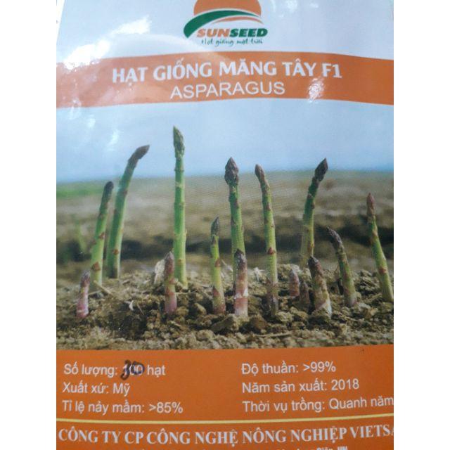 Hạt Giống Măng Tây Xanh F1 - 100 hạt