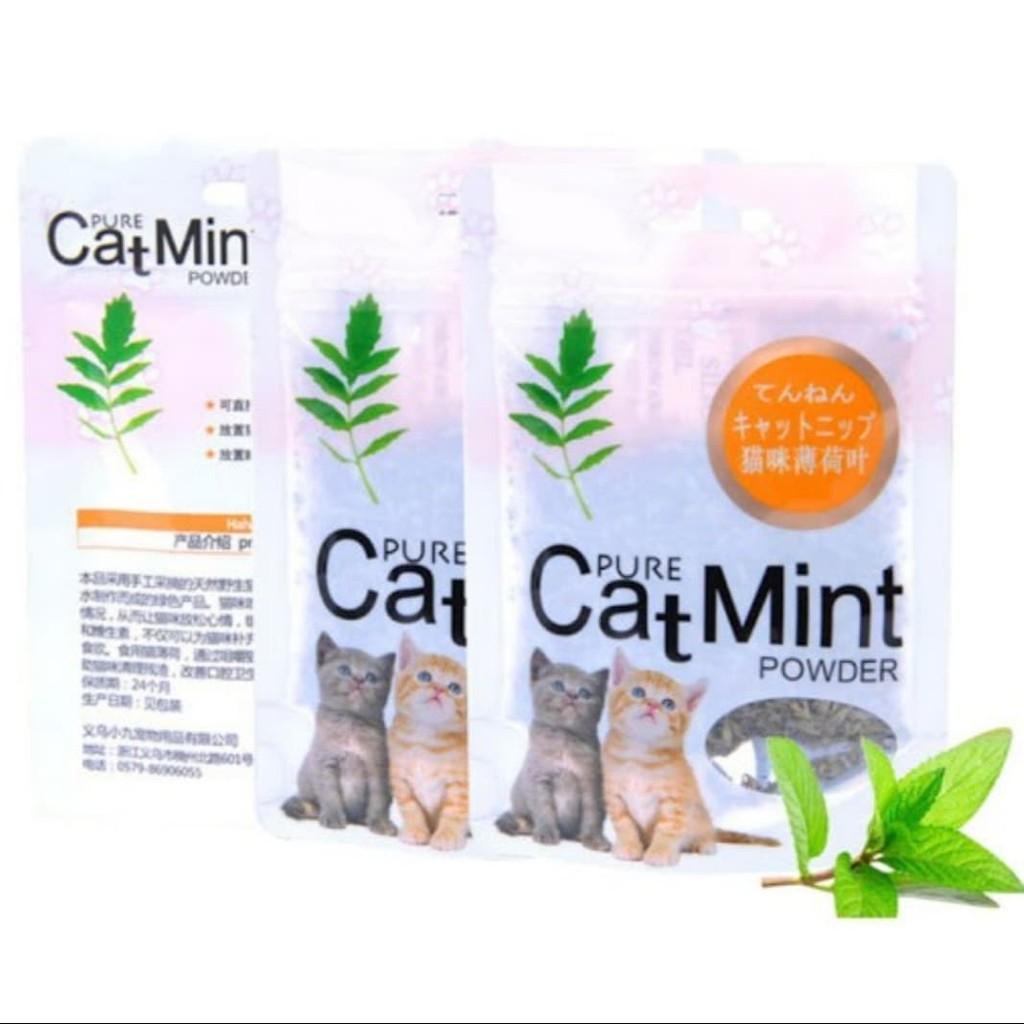 Cỏ Mèo bạc hà Catmint Catnip cho mèo