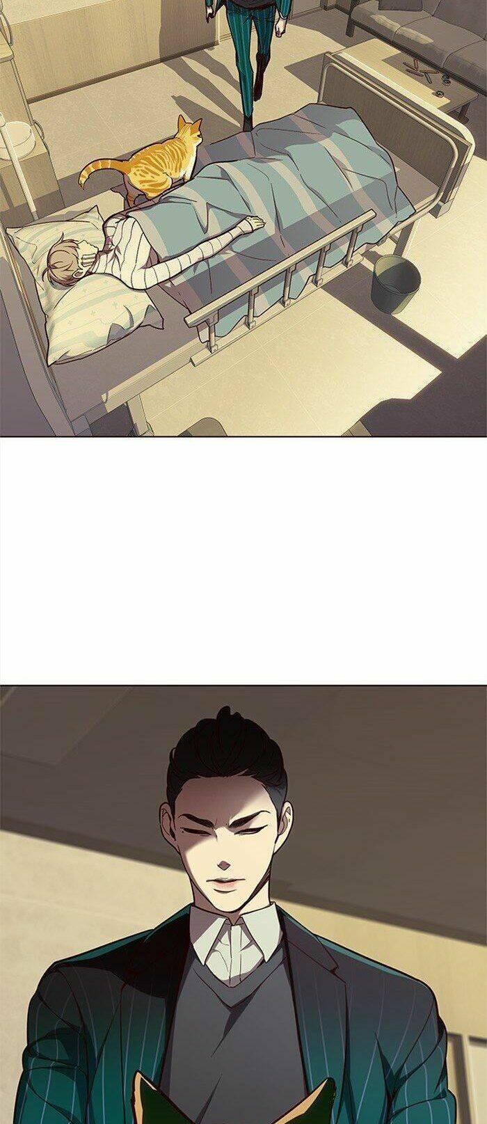 biến thân thành mèo chapter 29 26