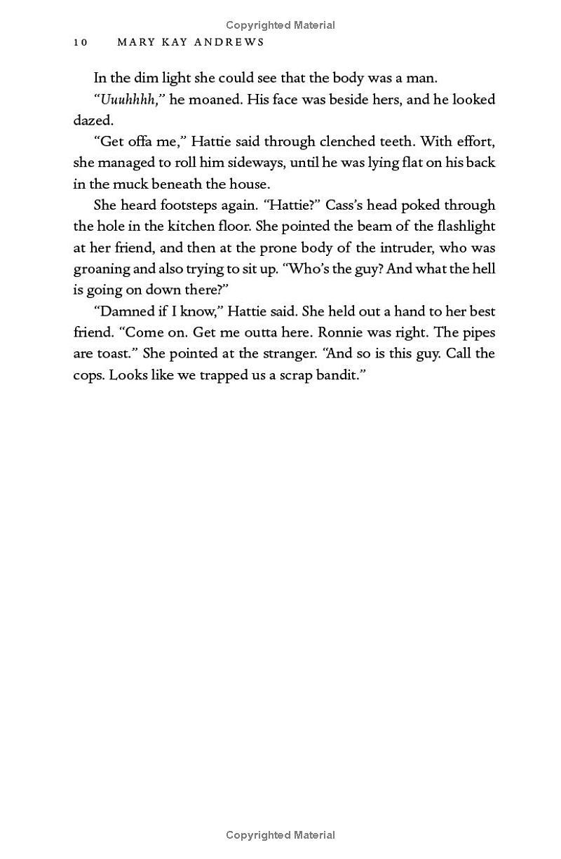 Sách ngoại văn: The Homewreckers