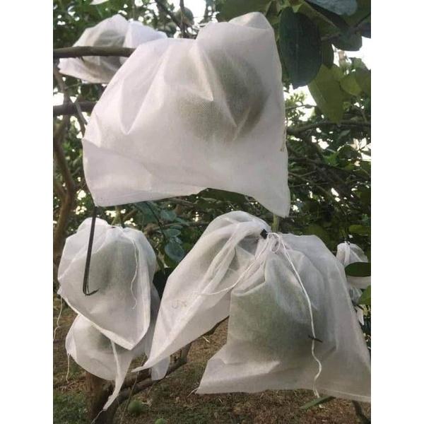 100 cái TÚI BAO BỌC DƯA LƯỚI,BƯỞI,NHO,CHÙM NHO TÚI BAO BỌC TRÁI CÂY