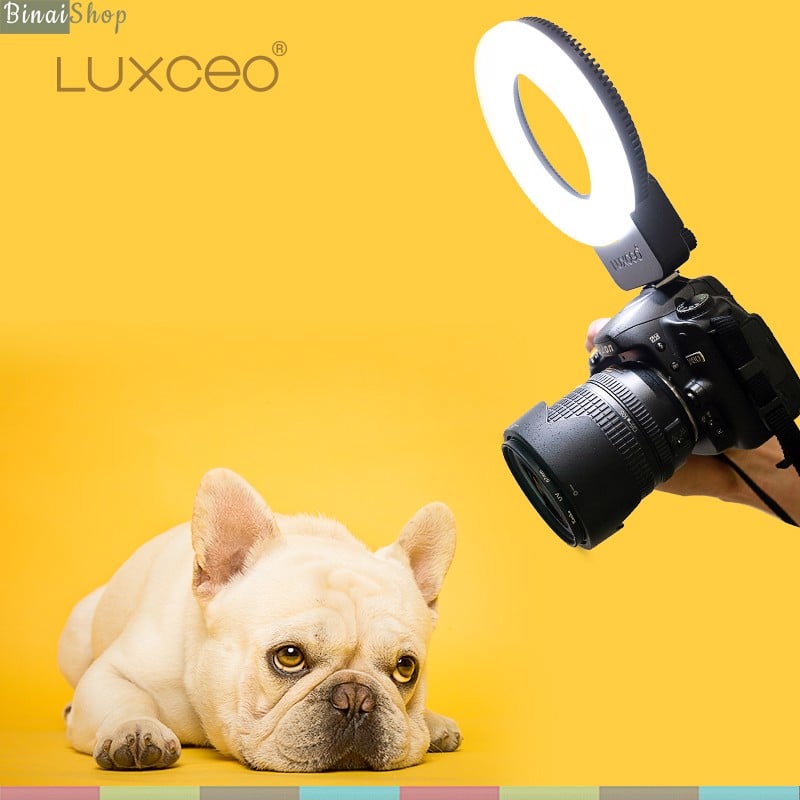 LUXCEO P01 Ring Light - Đèn Led Dạng Vòng Hỗ Trợ Quay Phim Chụp Hình Làm Youtube, Tik Tok, Review, Studio- Hàng chính hãng