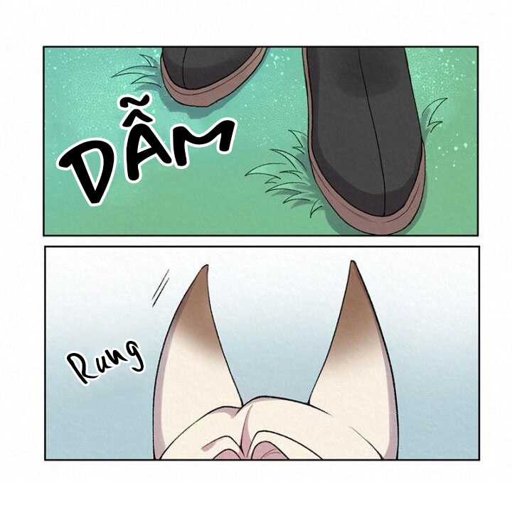 truyền thuyết hồ ly chapter 5 10