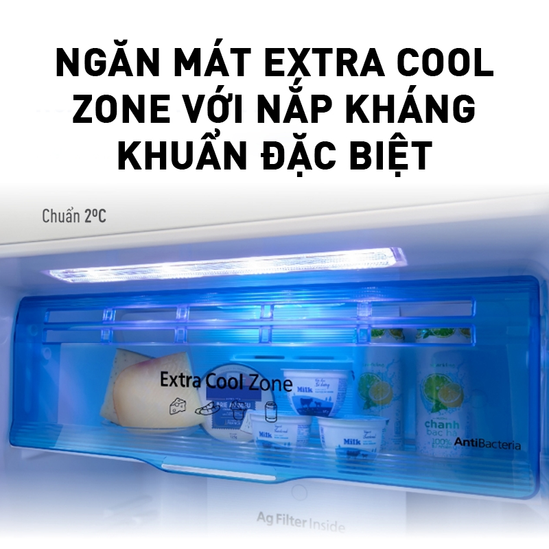 Tủ lạnh Panasonic Diệt Khuẩn 234L NR-TV261BPS9 - Vô Hiệu Hóa Vi Khuẩn Toàn Ngăn Mát 99,99% - Siêu tiết kiệm - Ngăn Đá Trên - Hàng chính hãng