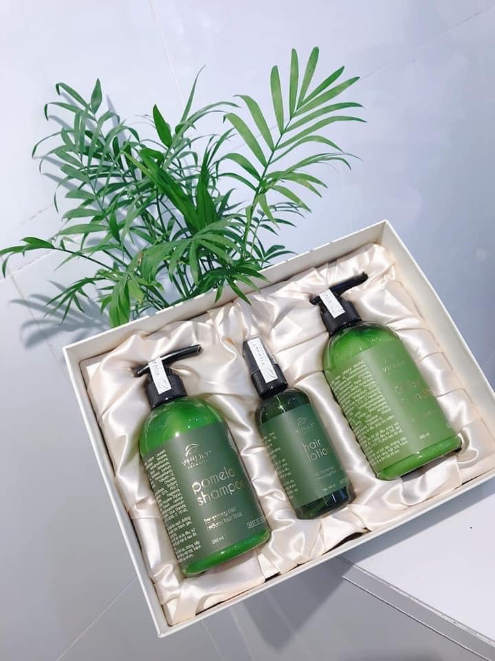 Combo tinh dầu dưỡng tóc ,dầu gội bưởi, dầu xả hoa cúc phục hồi tóc hư tổn suôn mượt tóc Vi Jully