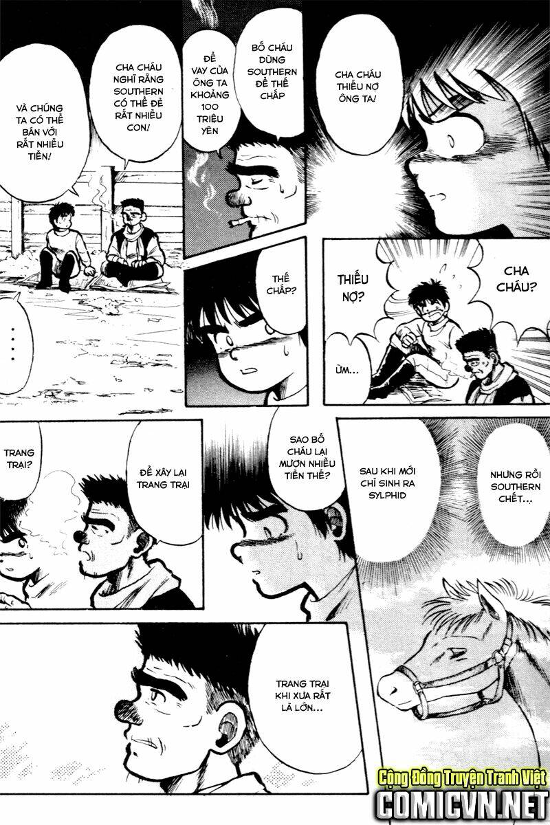 kaze no sylphid - phong mã silphid chapter 3 17