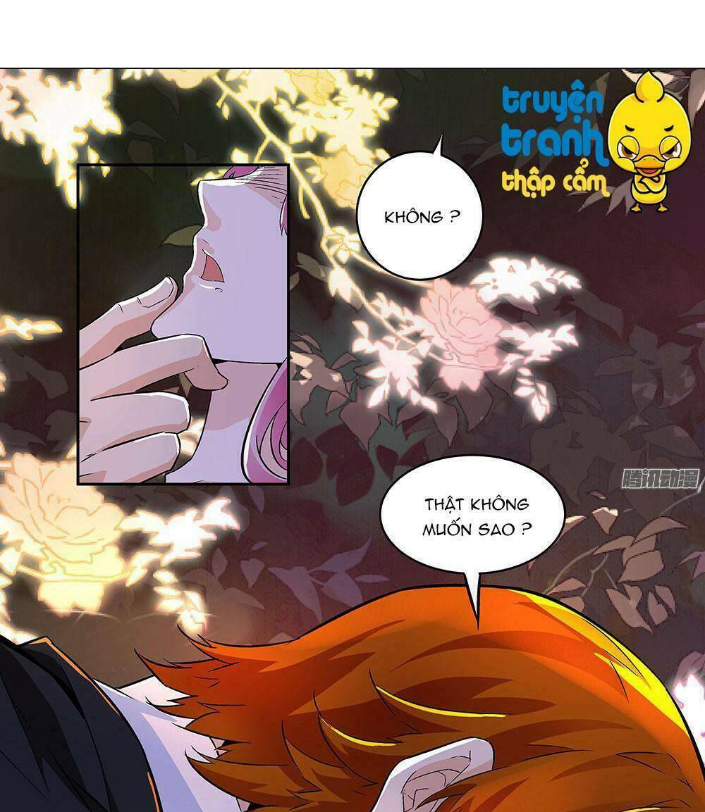 cường sủng hào môn tiểu manh thê chapter 5 5