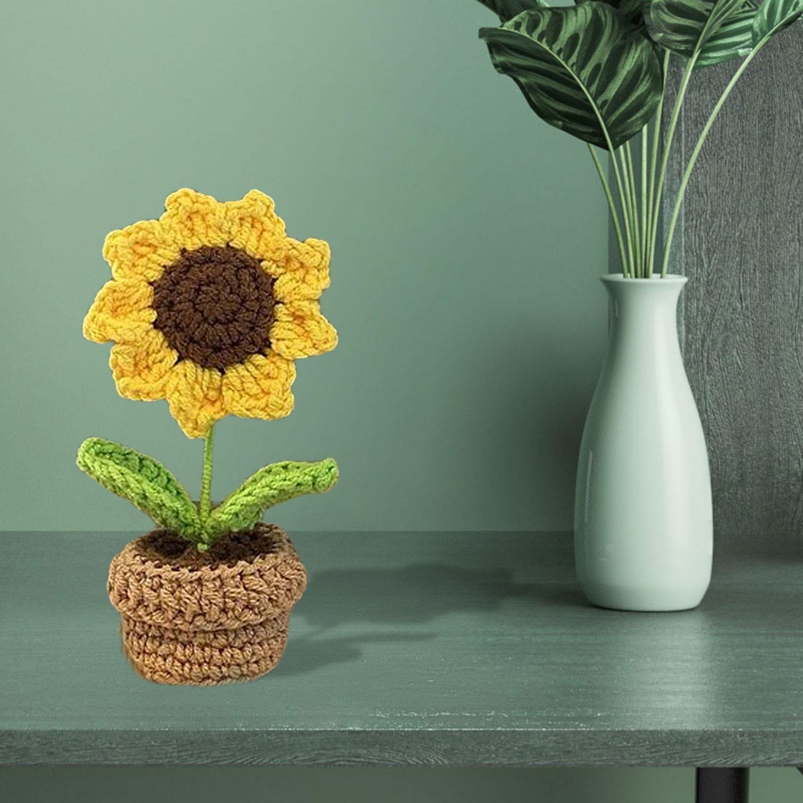 DIY Hand Woven Crochet Kit Includes Yarn, Hook, Accessories Hand Knitting Toy