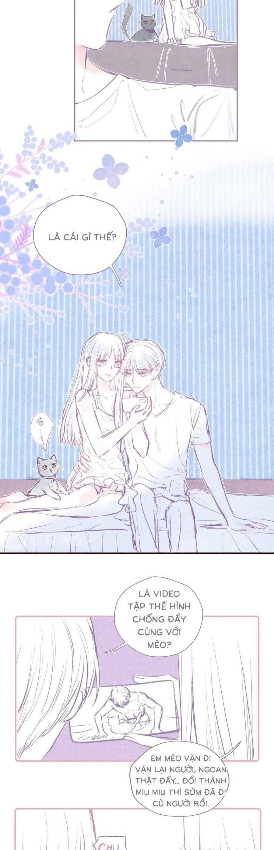 nỗi buồn của hoa cẩm tú cầu chapter 48.5 3