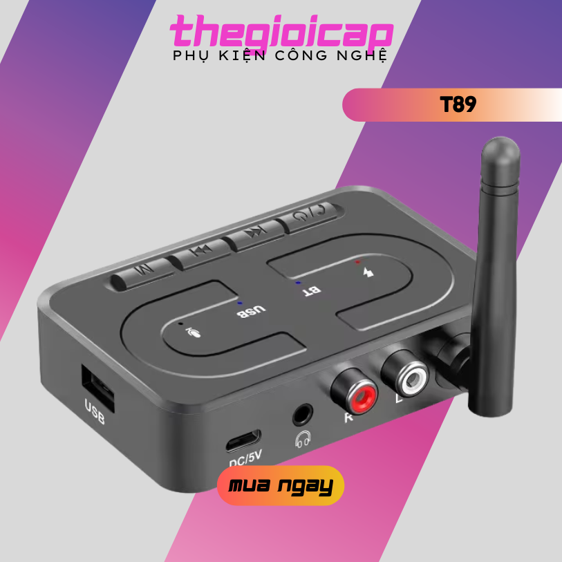 Bộ Thu Âm Thanh Bluetooth 6.0 không dây HiFi Stereo Lossless, receiver AUX 3.5mm USB U-Disk, mic HD đàm thoại T89 - Hàng Nhập Khẩu