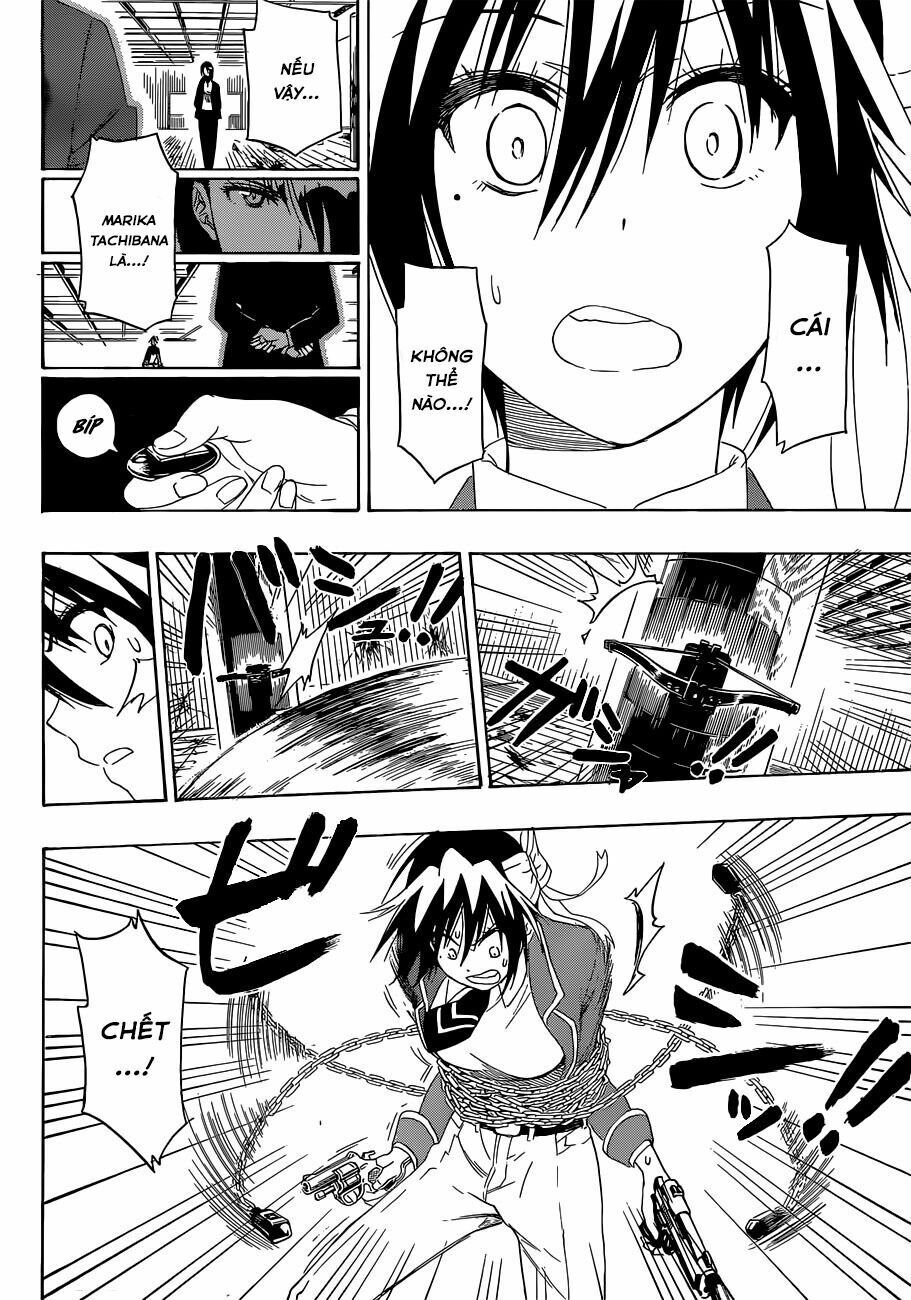 nisekoi - tình yêu giả tạo chapter 185 19