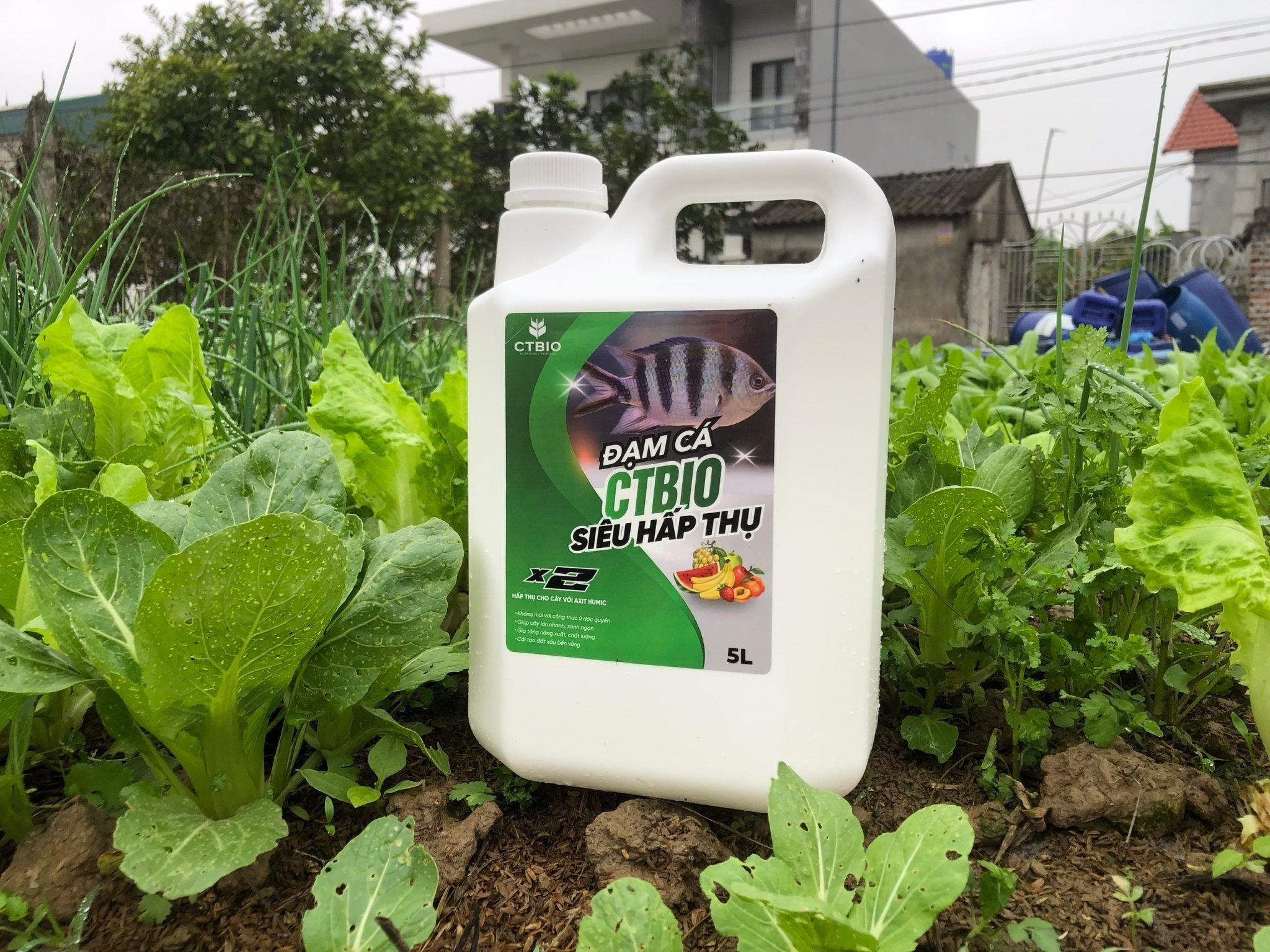 Siêu cải tạo đất với bộ 3 - Emzeo Đa chủng vi sinh vật + Đạm cá hữu cơ CTBIO +Axit Humic - giúp cải tạo cho diện tích 100m2